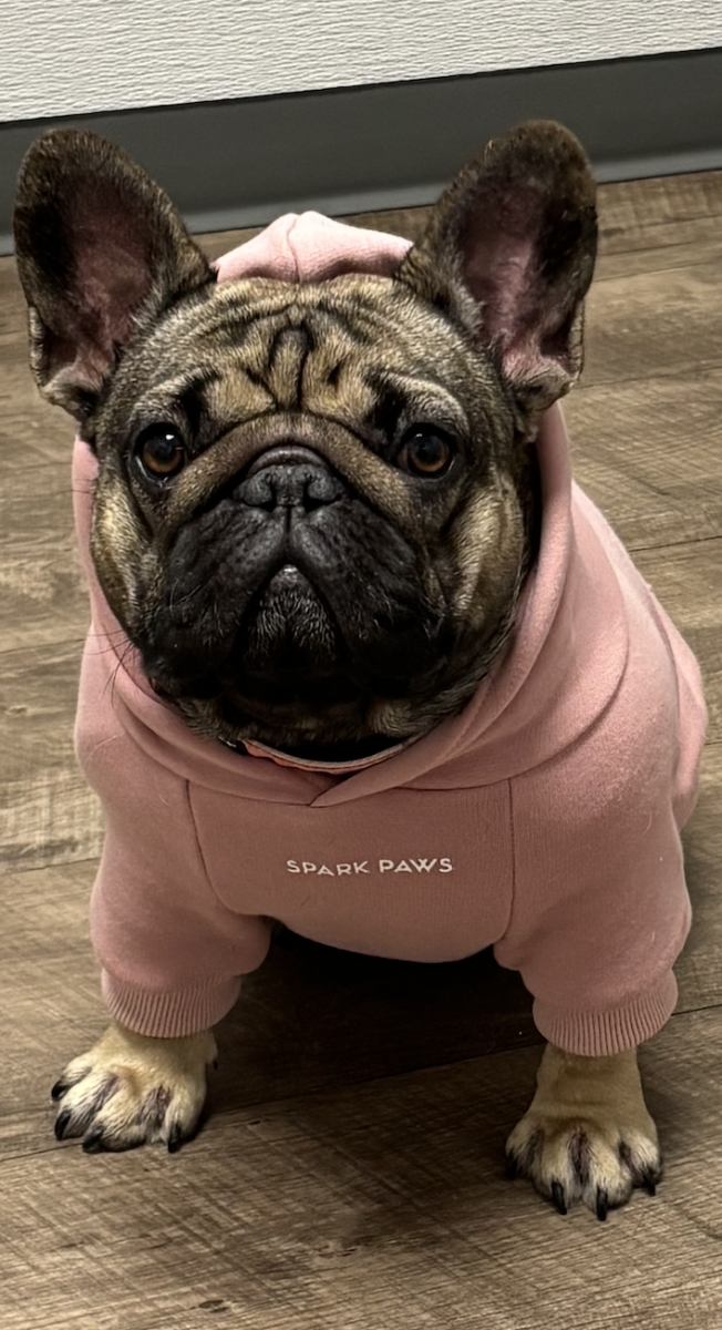 Screenshot 2026-02-12 at 8.51.30 PM